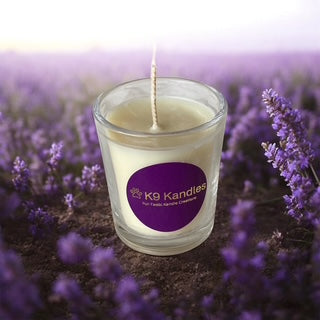 Lavender - Labrador
