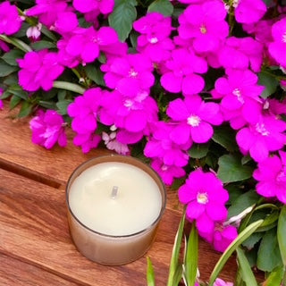 Geranium - Great Dane
